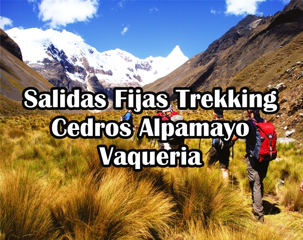 Salidas Fijas Trekking Cedros Alpamayo Vaqueria