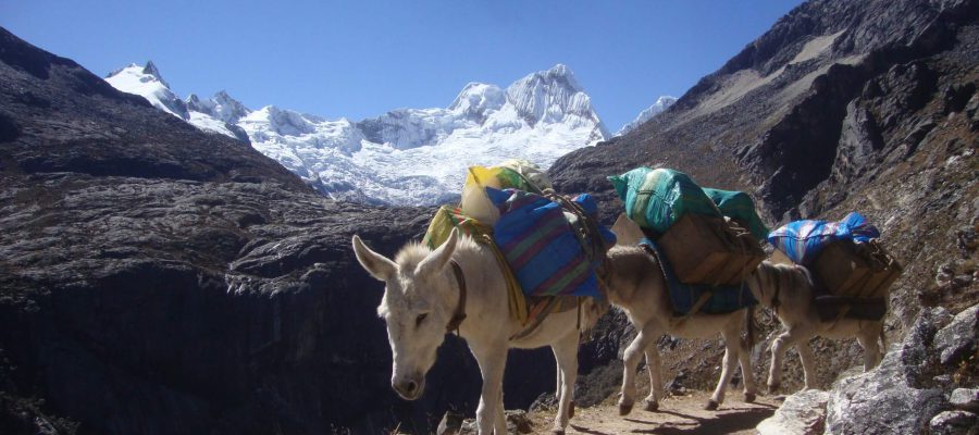 trekking-alpamayo